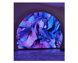 西双版纳某商场室内全彩15平方P2.0 异形屏